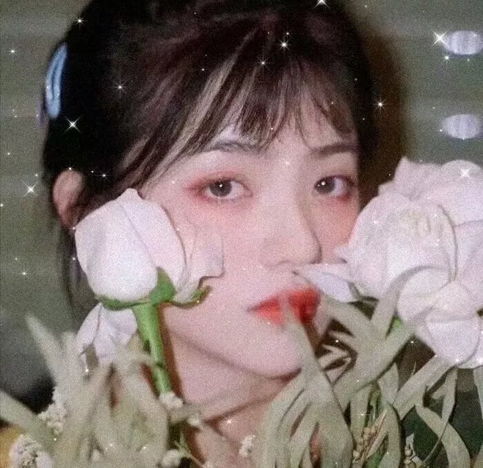 真爱骗子小娇妻